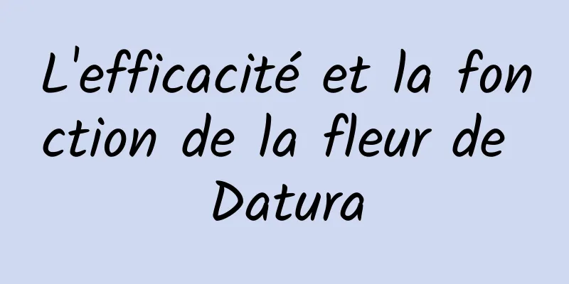 L'efficacité et la fonction de la fleur de Datura