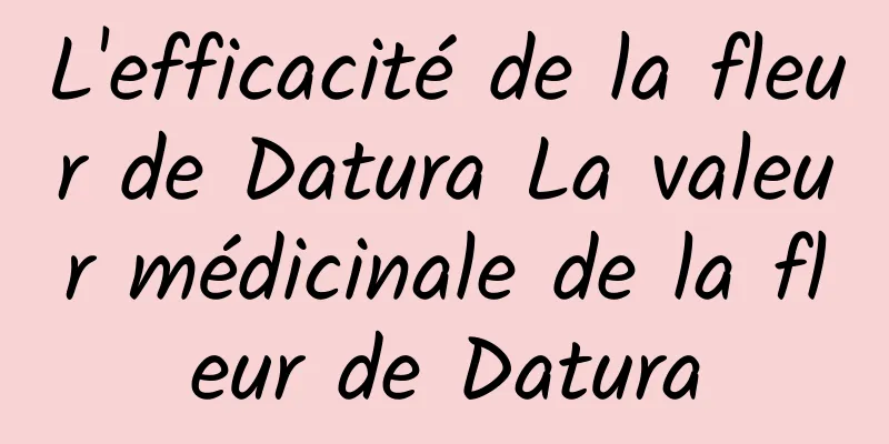 L'efficacité de la fleur de Datura La valeur médicinale de la fleur de Datura