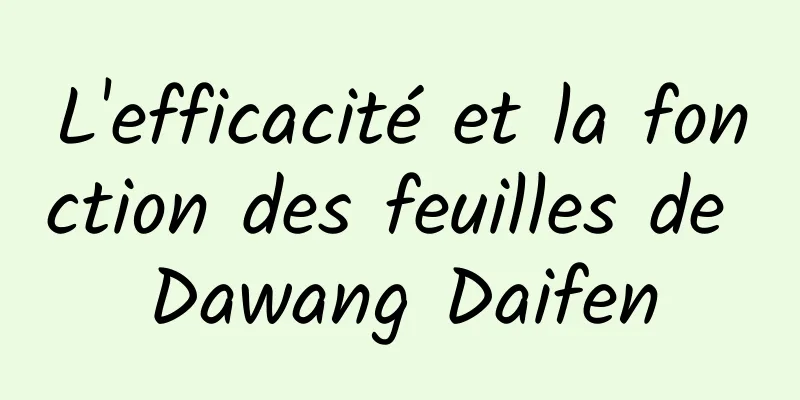 L'efficacité et la fonction des feuilles de Dawang Daifen