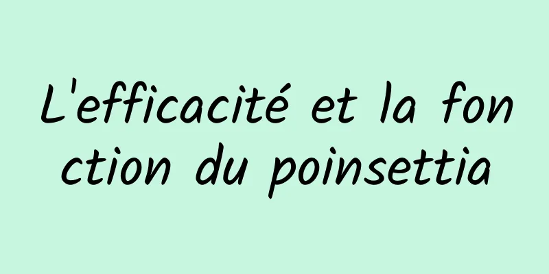 L'efficacité et la fonction du poinsettia