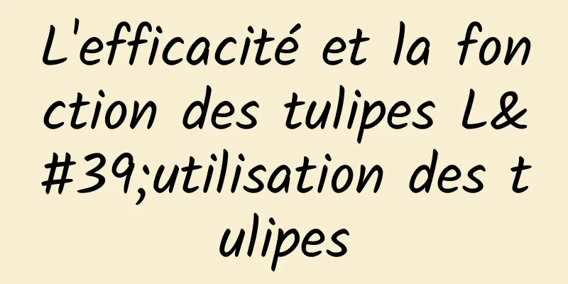 L'efficacité et la fonction des tulipes L'utilisation des tulipes