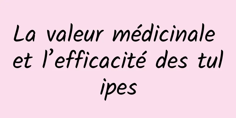 La valeur médicinale et l’efficacité des tulipes