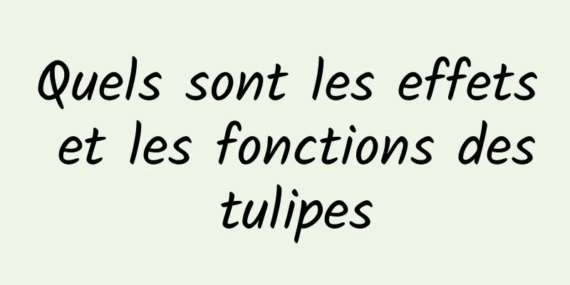 Quels sont les effets et les fonctions des tulipes