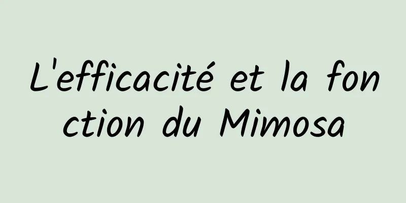 L'efficacité et la fonction du Mimosa