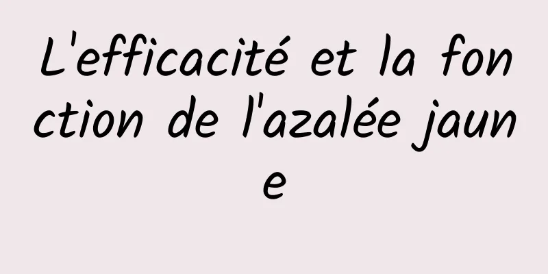 L'efficacité et la fonction de l'azalée jaune