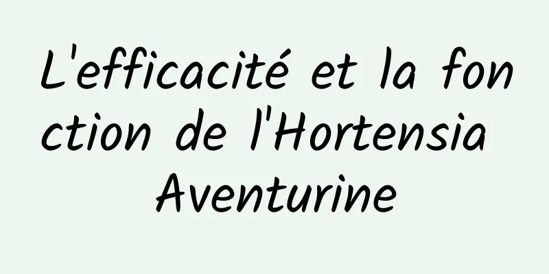 L'efficacité et la fonction de l'Hortensia Aventurine