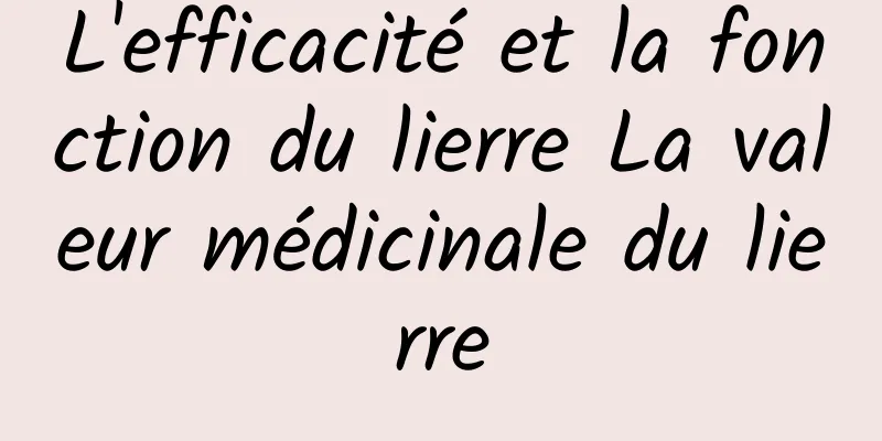 L'efficacité et la fonction du lierre La valeur médicinale du lierre