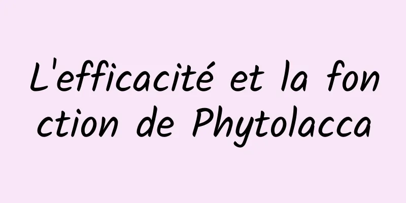 L'efficacité et la fonction de Phytolacca