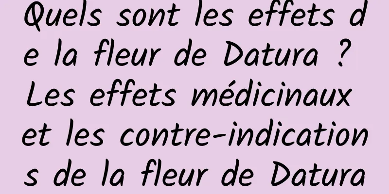 Quels sont les effets de la fleur de Datura ? Les effets médicinaux et les contre-indications de la fleur de Datura