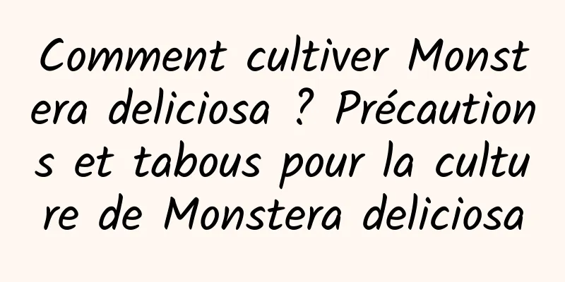 Comment cultiver Monstera deliciosa ? Précautions et tabous pour la culture de Monstera deliciosa