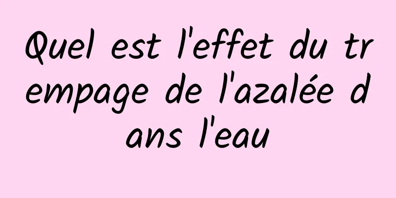 Quel est l'effet du trempage de l'azalée dans l'eau