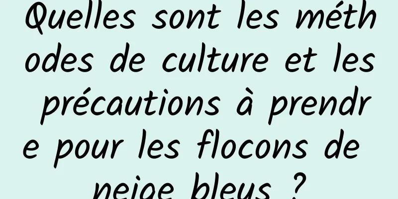 Quelles sont les méthodes de culture et les précautions à prendre pour les flocons de neige bleus ?