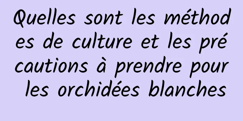 Quelles sont les méthodes de culture et les précautions à prendre pour les orchidées blanches