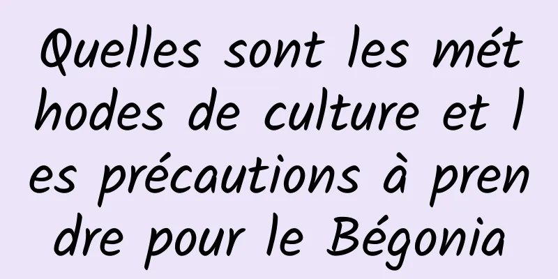 Quelles sont les méthodes de culture et les précautions à prendre pour le Bégonia