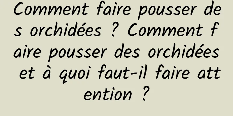 Comment faire pousser des orchidées ? Comment faire pousser des orchidées et à quoi faut-il faire attention ?