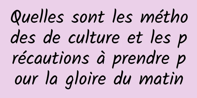 Quelles sont les méthodes de culture et les précautions à prendre pour la gloire du matin