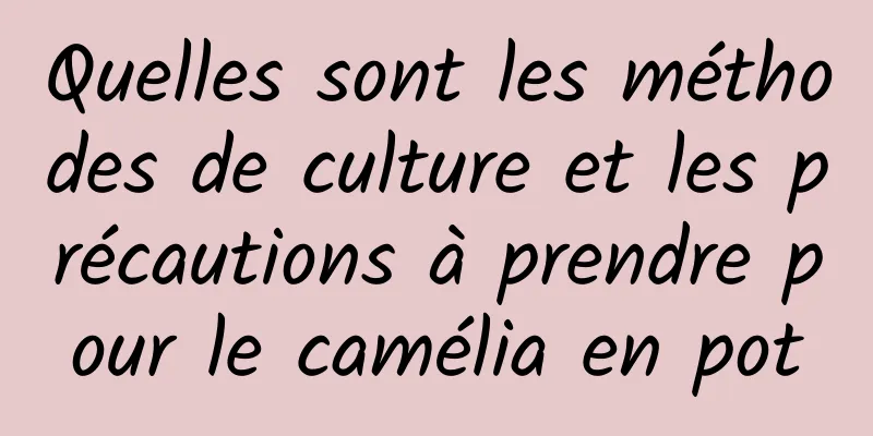 Quelles sont les méthodes de culture et les précautions à prendre pour le camélia en pot