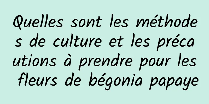 Quelles sont les méthodes de culture et les précautions à prendre pour les fleurs de bégonia papaye