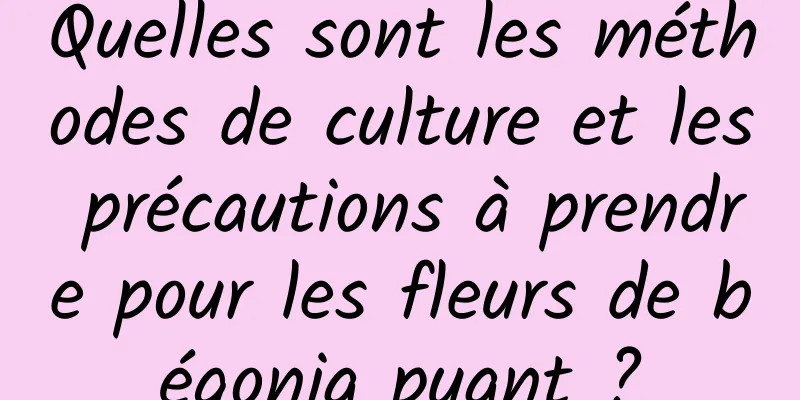 Quelles sont les méthodes de culture et les précautions à prendre pour les fleurs de bégonia puant ?