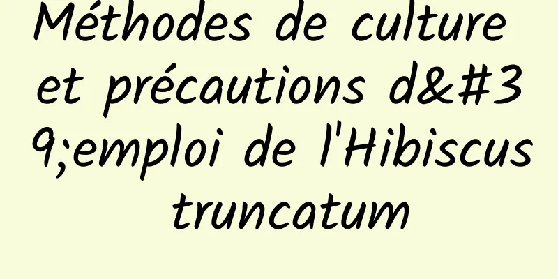 Méthodes de culture et précautions d'emploi de l'Hibiscus truncatum