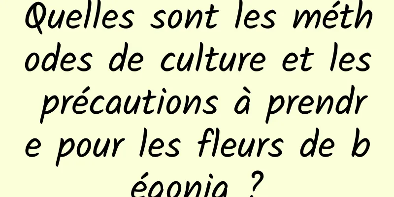 Quelles sont les méthodes de culture et les précautions à prendre pour les fleurs de bégonia ?