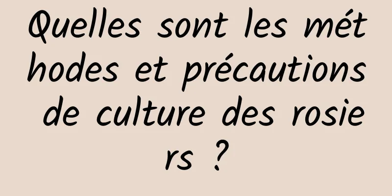 Quelles sont les méthodes et précautions de culture des rosiers ?