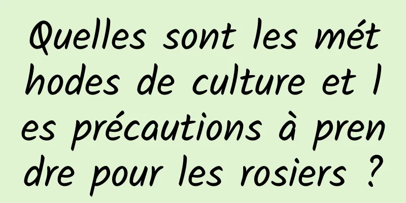 Quelles sont les méthodes de culture et les précautions à prendre pour les rosiers ?