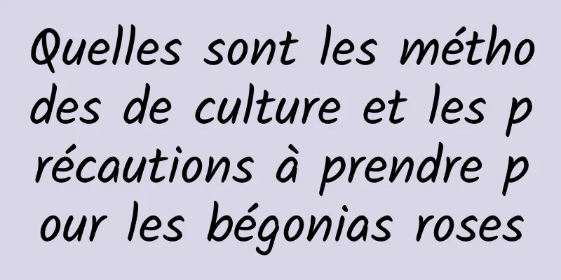 Quelles sont les méthodes de culture et les précautions à prendre pour les bégonias roses