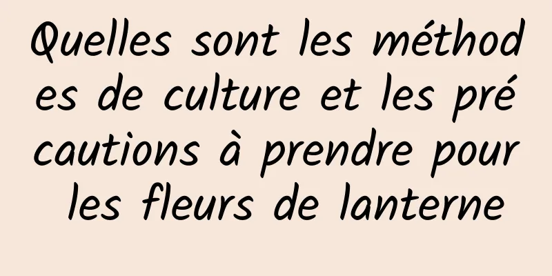 Quelles sont les méthodes de culture et les précautions à prendre pour les fleurs de lanterne