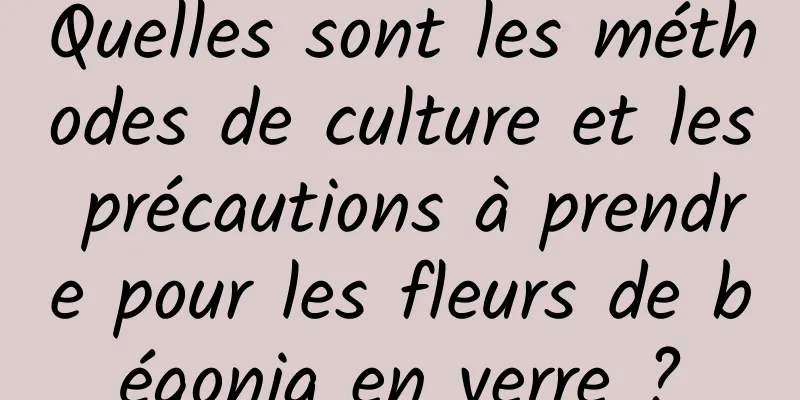 Quelles sont les méthodes de culture et les précautions à prendre pour les fleurs de bégonia en verre ?