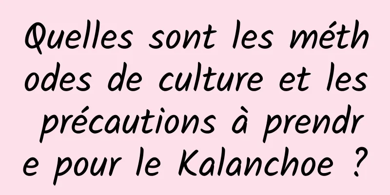 Quelles sont les méthodes de culture et les précautions à prendre pour le Kalanchoe ?