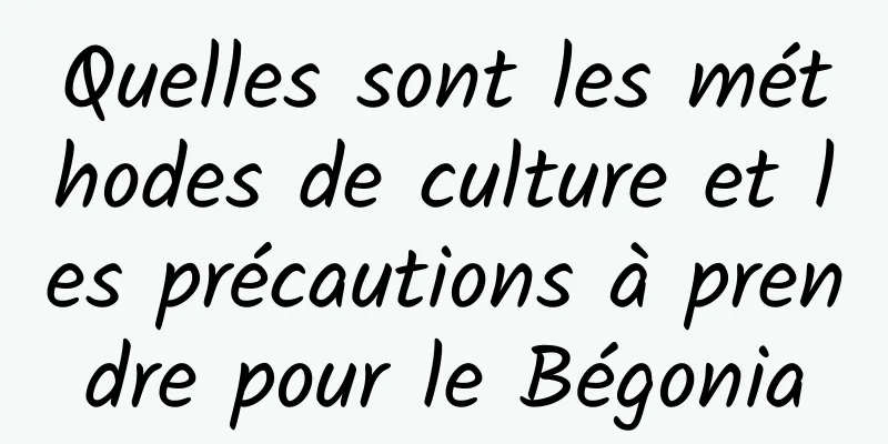 Quelles sont les méthodes de culture et les précautions à prendre pour le Bégonia