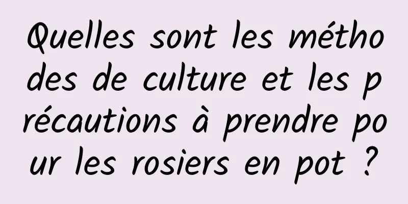 Quelles sont les méthodes de culture et les précautions à prendre pour les rosiers en pot ?