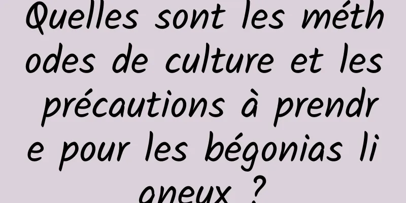 Quelles sont les méthodes de culture et les précautions à prendre pour les bégonias ligneux ?