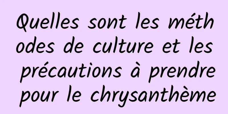 Quelles sont les méthodes de culture et les précautions à prendre pour le chrysanthème