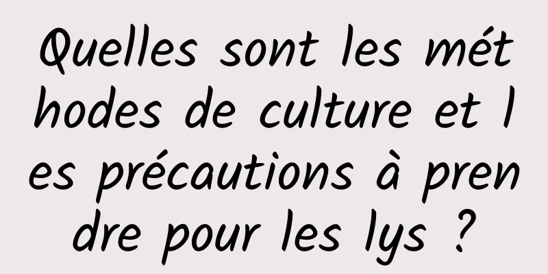 Quelles sont les méthodes de culture et les précautions à prendre pour les lys ?