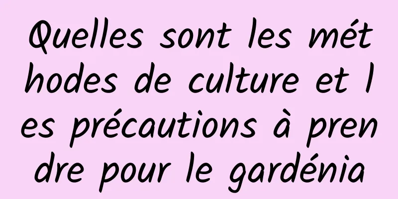 Quelles sont les méthodes de culture et les précautions à prendre pour le gardénia