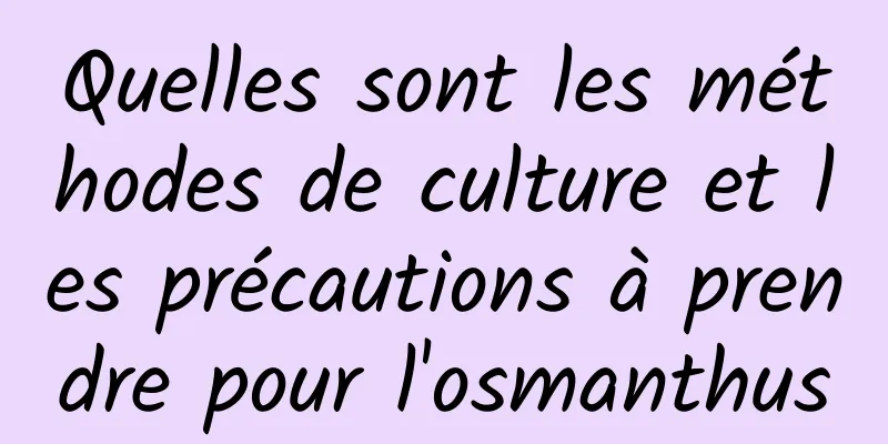 Quelles sont les méthodes de culture et les précautions à prendre pour l'osmanthus