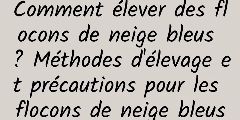 Comment élever des flocons de neige bleus ? Méthodes d'élevage et précautions pour les flocons de neige bleus