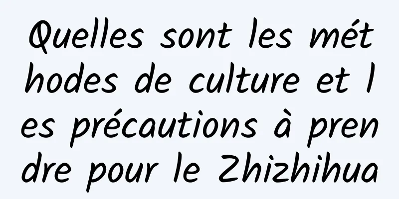 Quelles sont les méthodes de culture et les précautions à prendre pour le Zhizhihua