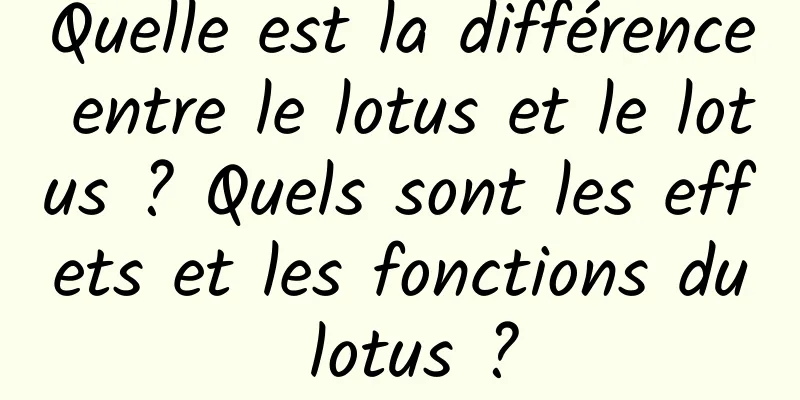 Quelle est la différence entre le lotus et le lotus ? Quels sont les effets et les fonctions du lotus ?