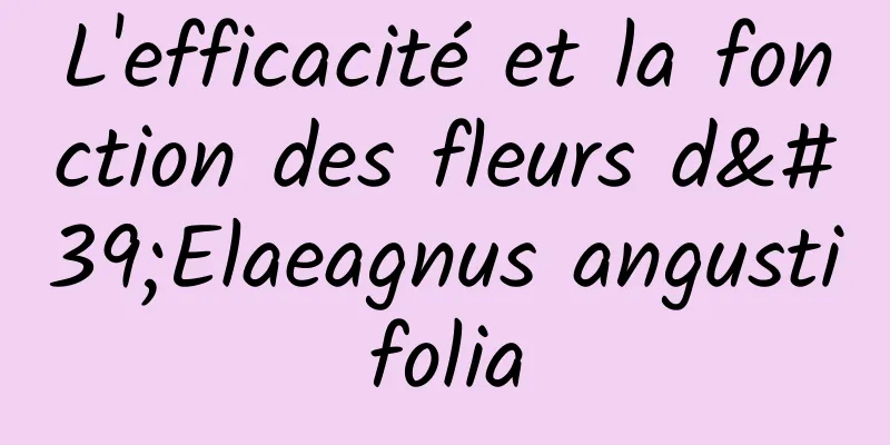 L'efficacité et la fonction des fleurs d'Elaeagnus angustifolia