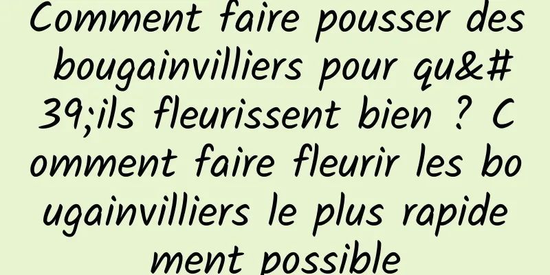 Comment faire pousser des bougainvilliers pour qu'ils fleurissent bien ? Comment faire fleurir les bougainvilliers le plus rapidement possible