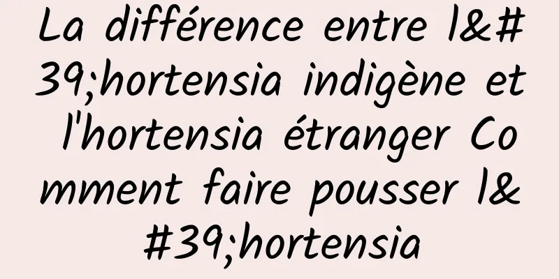 La différence entre l'hortensia indigène et l'hortensia étranger Comment faire pousser l'hortensia