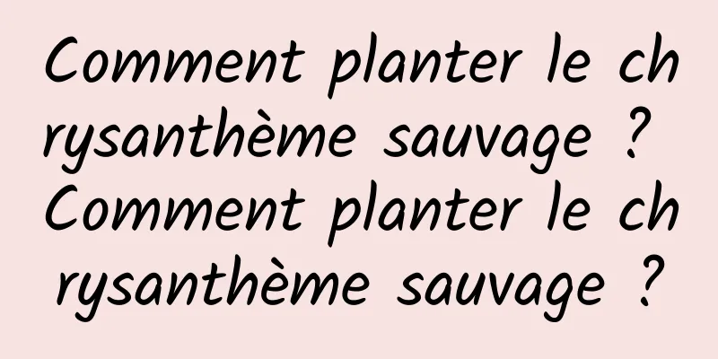 Comment planter le chrysanthème sauvage ? Comment planter le chrysanthème sauvage ?