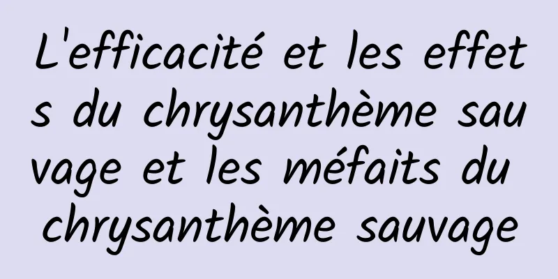 L'efficacité et les effets du chrysanthème sauvage et les méfaits du chrysanthème sauvage