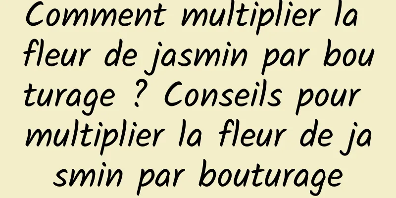 Comment multiplier la fleur de jasmin par bouturage ? Conseils pour multiplier la fleur de jasmin par bouturage