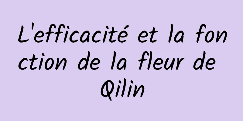 L'efficacité et la fonction de la fleur de Qilin