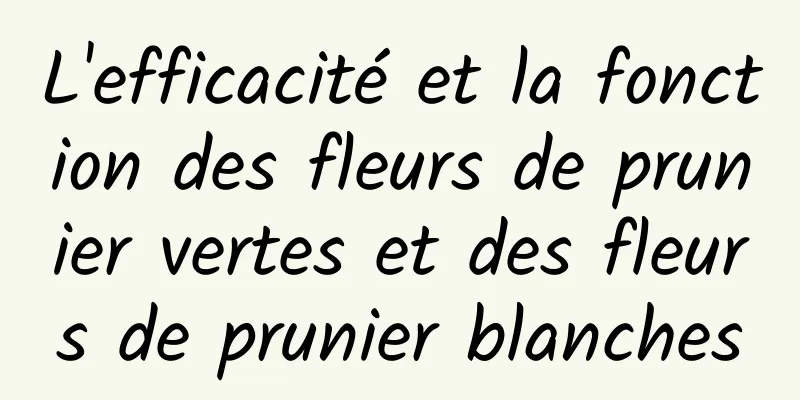 L'efficacité et la fonction des fleurs de prunier vertes et des fleurs de prunier blanches