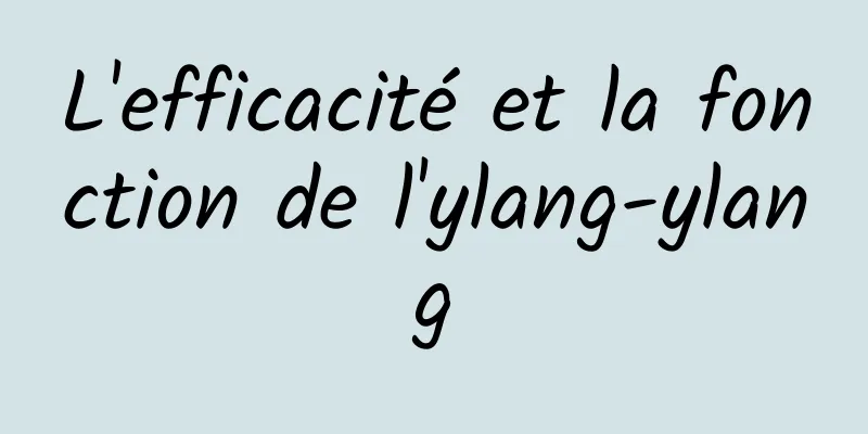 L'efficacité et la fonction de l'ylang-ylang